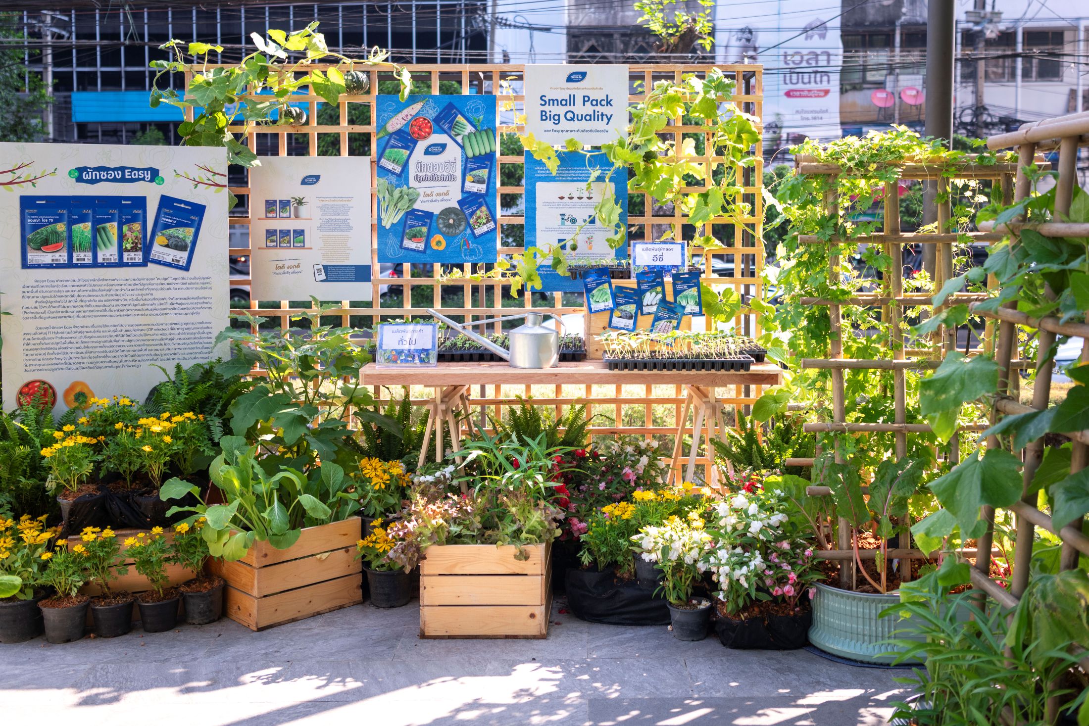 เจียไต๋เปิดตัว “ผักซองอีซี่ ปลูกง่าย ได้อย่างโปร” เปิดประสบการณ์และยกระดับการปลูก ชูกลยุทธ์ใช้งานสะดวก โตดี งอกดี ด้วยคุณภาพเมล็ดพันธุ์เทียบเท่าระดับโปร