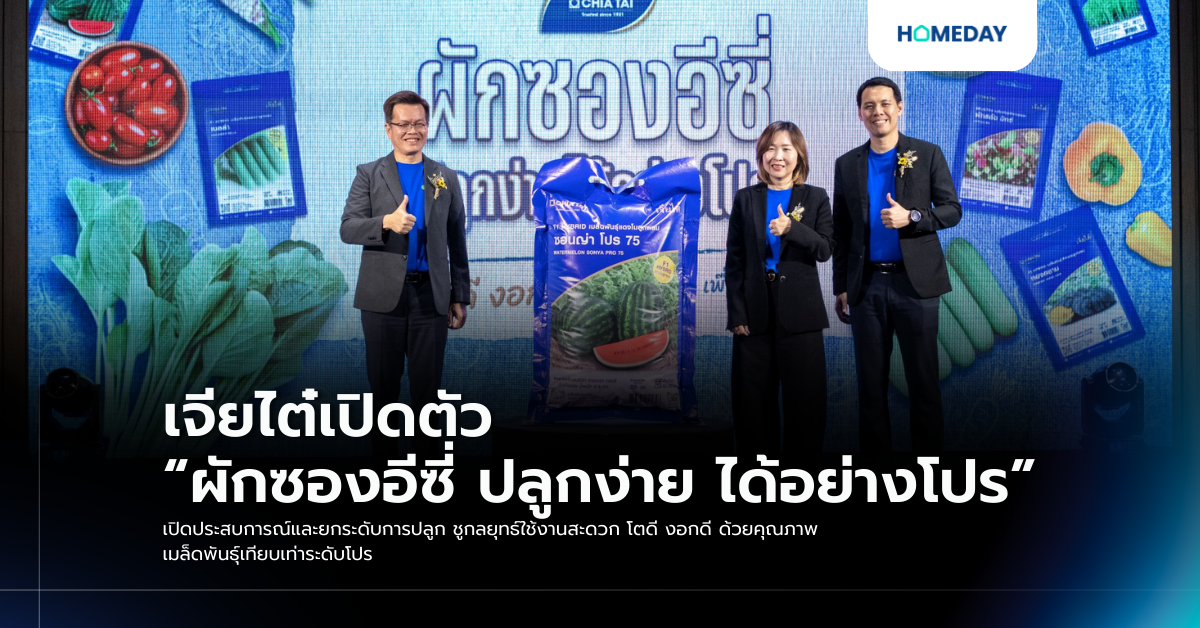 เจียไต๋เปิดตัว “ผักซองอีซี่ ปลูกง่าย ได้อย่างโปร” เปิดประสบการณ์และยกระดับการปลูก ชูกลยุทธ์ใช้งานสะดวก โตดี งอกดี ด้วยคุณภาพเมล็ดพันธุ์เทียบเท่าระดับโปร