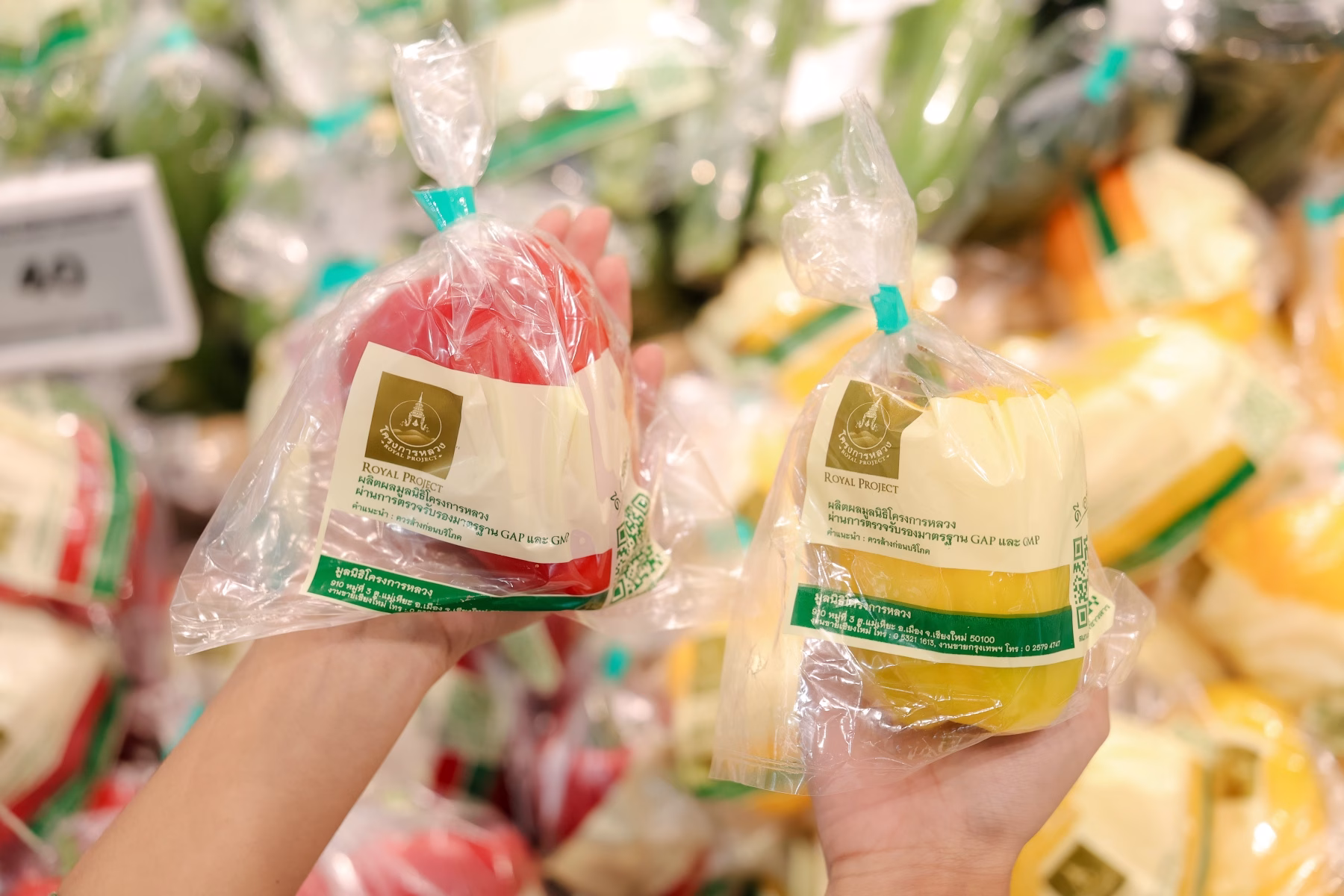 “ซีพี แอ็กซ์ตร้า” ร่วมกับ “มูลนิธิโครงการหลวง” จัดงาน “โครงการหลวง สินค้าคุณภาพ สู่ ซีพี แอ็กซ์ตร้า 2569” คัดสินค้าคุณภาพ ส่งตรงจากยอดดอยสู่แม็คโครและโลตัสทั่วประเทศ