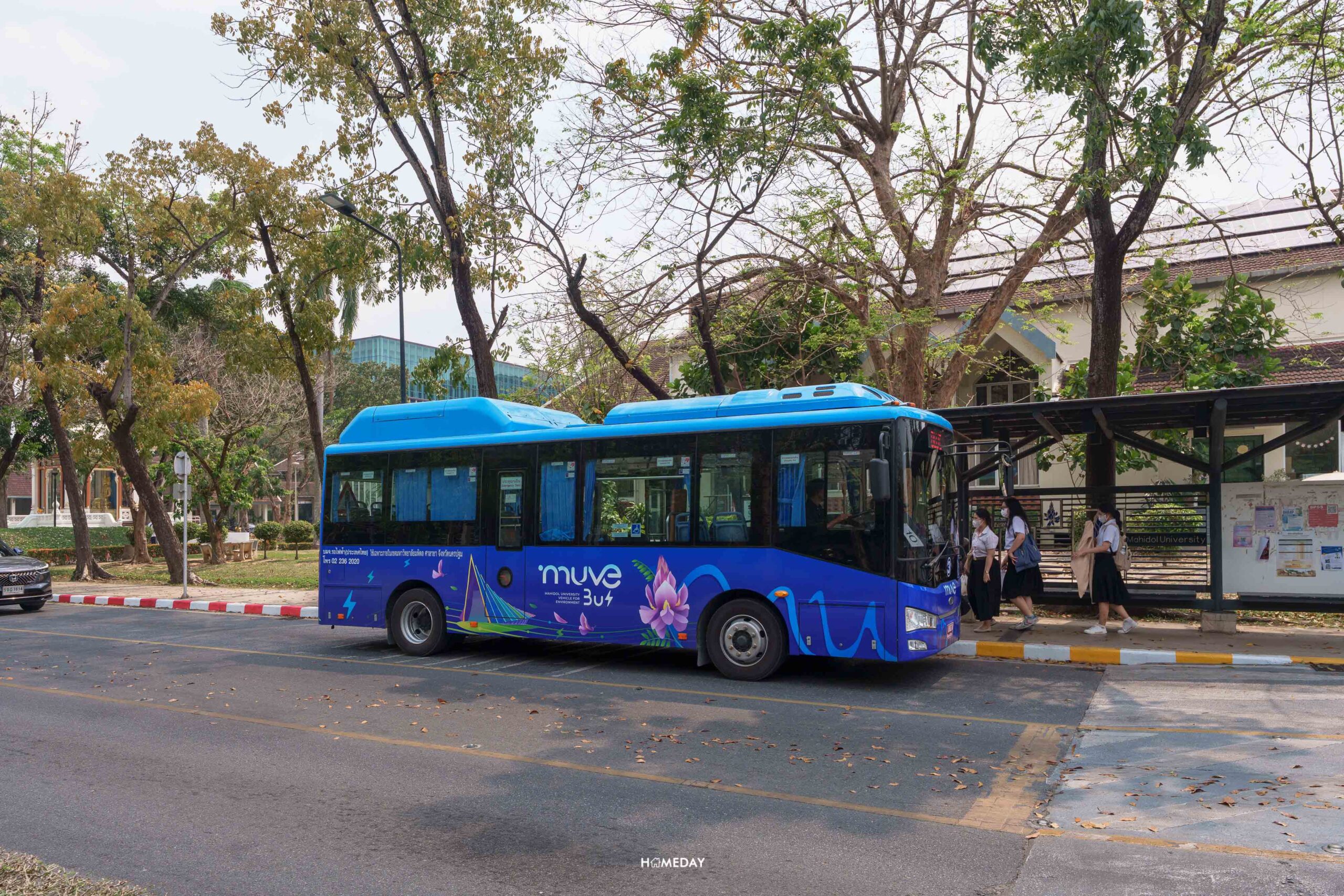 Homeday Baan Pruksa Mahidol Salaya Pkv91 2 132