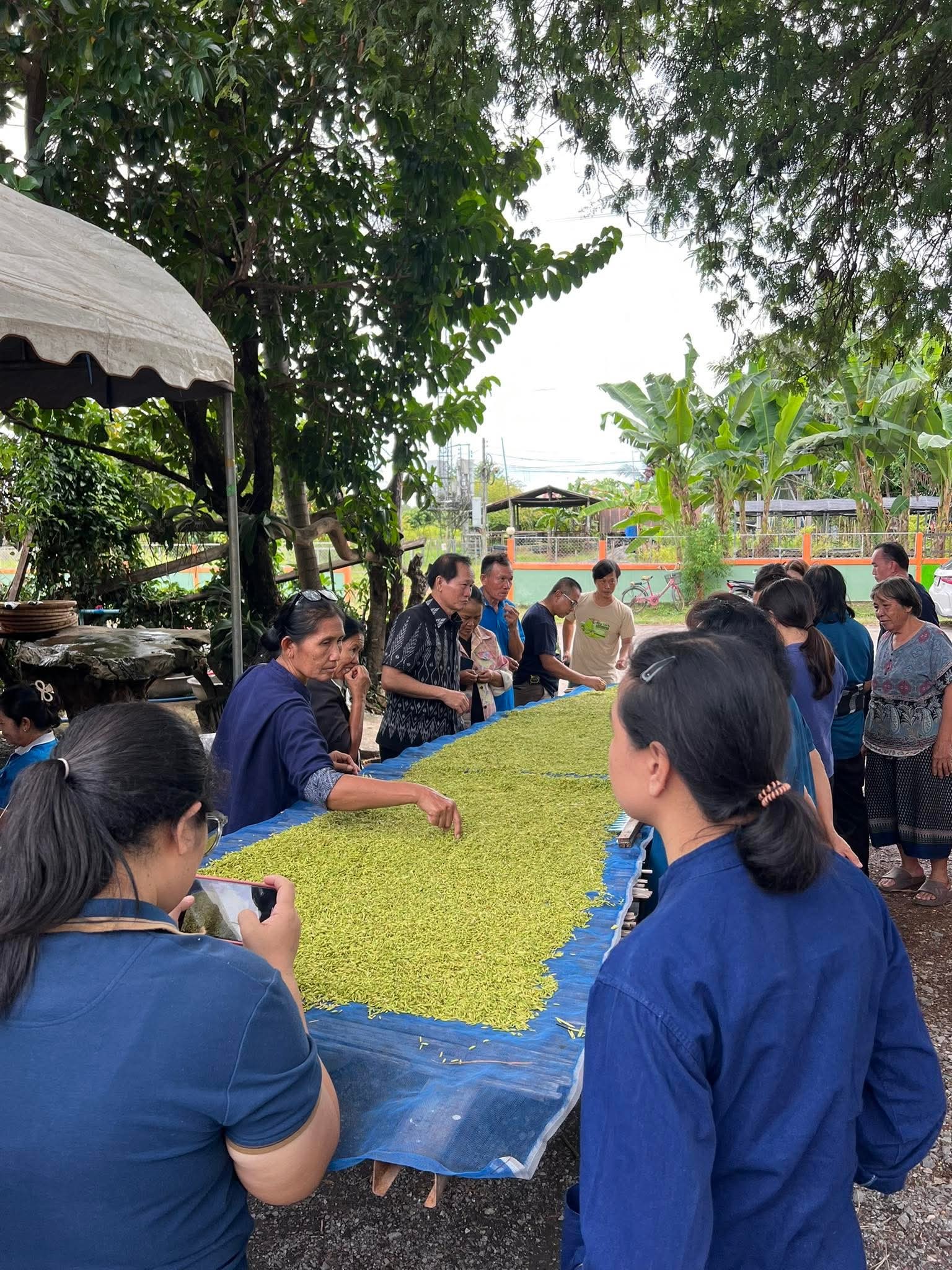 ศุภาลัย เดินหน้าหนุนเศรษฐกิจชุมชน ผลักดันแคมเปญ “ศุภาลัย ไทยเยี่ยม” ส่งต่อของดี 5 ภูมิภาค สร้างบ้านที่เติบโตไปพร้อมสังคม